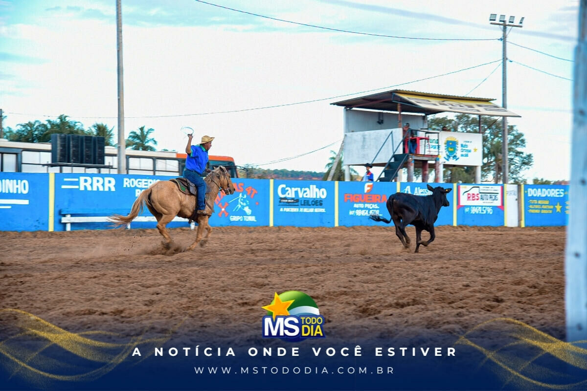 Imagem da Galeria